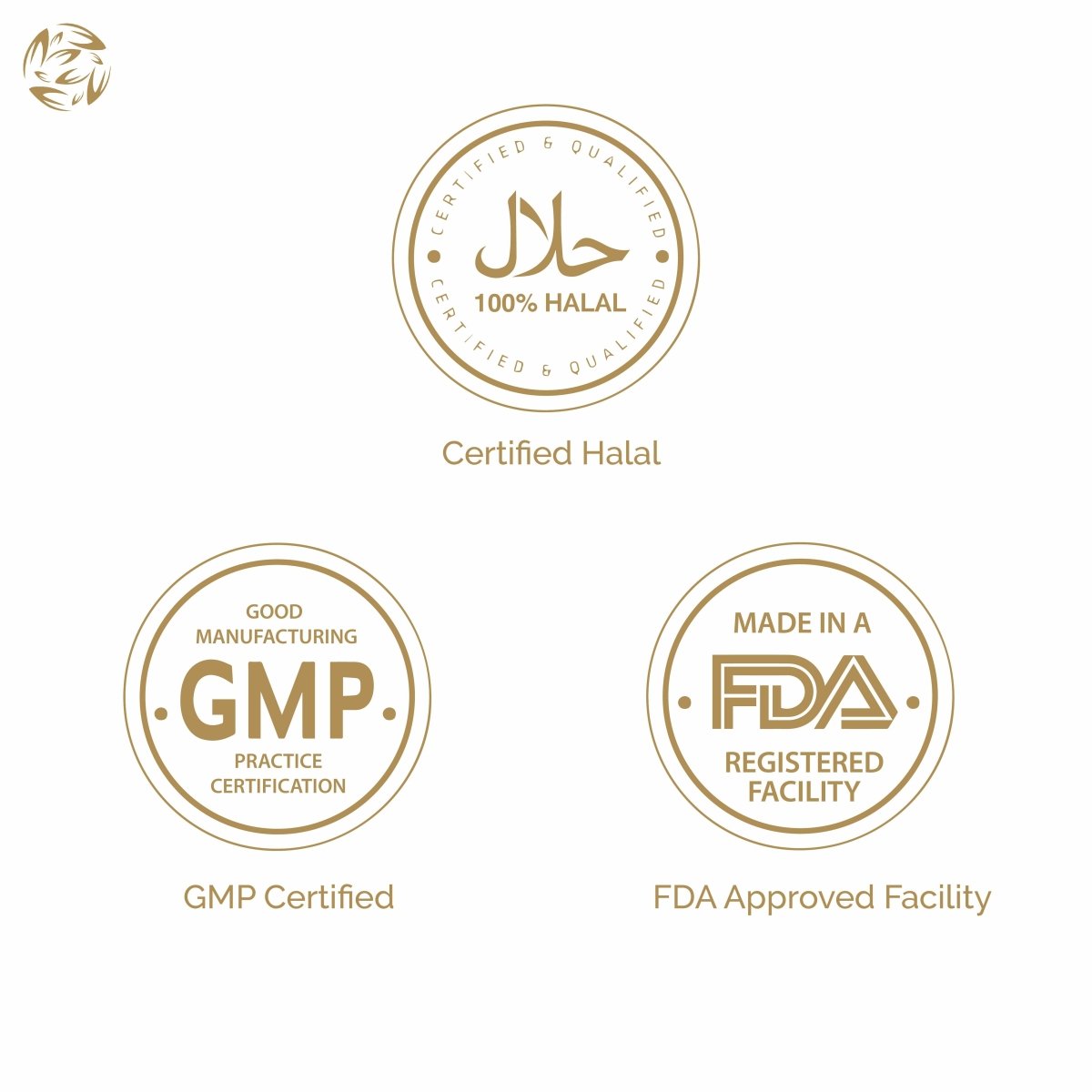 Omega 3 Fish Oil Supplements Canada - Halal, Fish Gelatin Softgel Capsule, Gluten Free, EPA/DHA Supplement - 1000 mg - 90 softgel - iCare Naturals